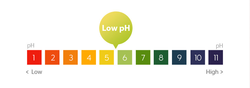 APIEU Raspberry Vinegar Hair Shampoo 500ml